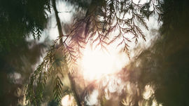 The Myth of Prescribed Grief