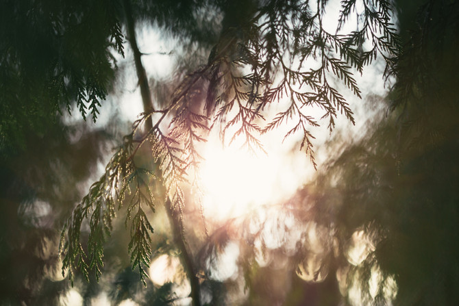 The Myth of Prescribed Grief