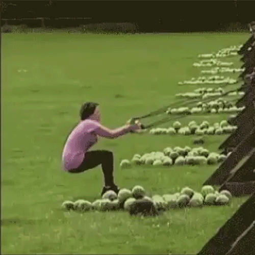 Melon.gif
