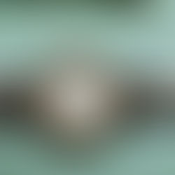 오리스 2892 오버홀 작업기