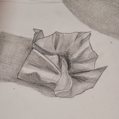 Detail of Elephant still life