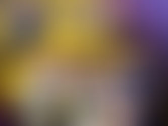 Gorilla Cup tiimivõistlus