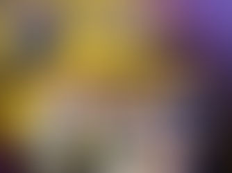 Gorilla Cup tiimivõistlus