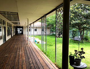 C397681E-B43B-49B1-B4BD-502D9DDE0886_1_1