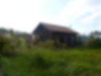P1010279.JPG