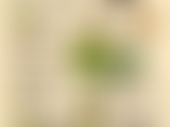 🥬 Lettuce Masterclass: Growing Flavorful, Foolproof Greens in the Bay Area