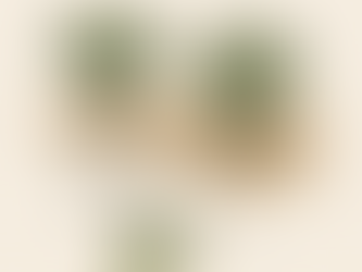 Hand‑drawn kale spacing diagram with 12–18 inch plant gaps in a mulched Bay Area bed, simple guide lines and labels