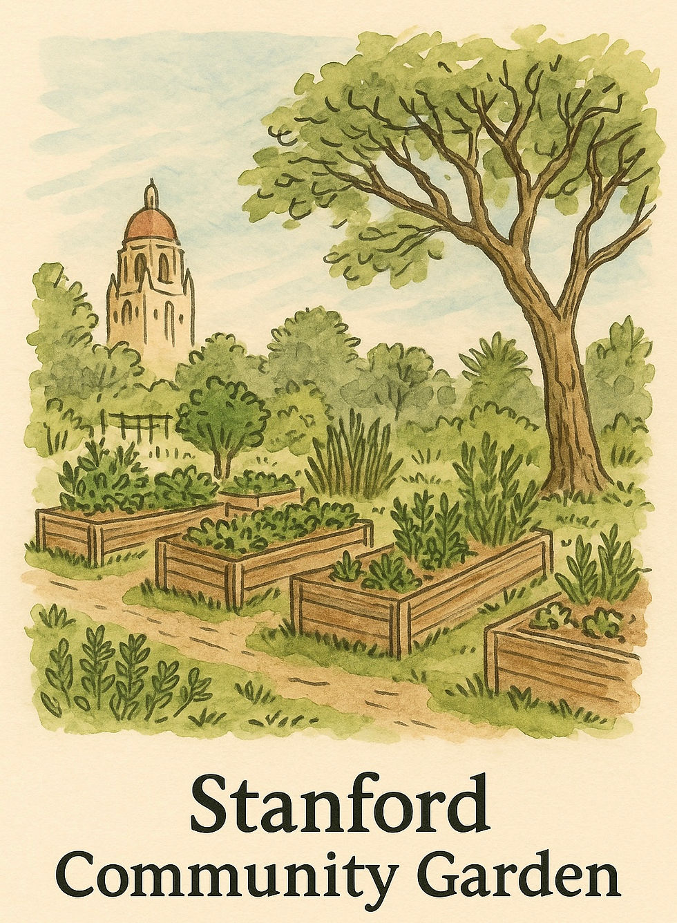 Hand-drawn illustration of SAGE Garden at Stanford University, showing experimental plant beds and student gardeners.
