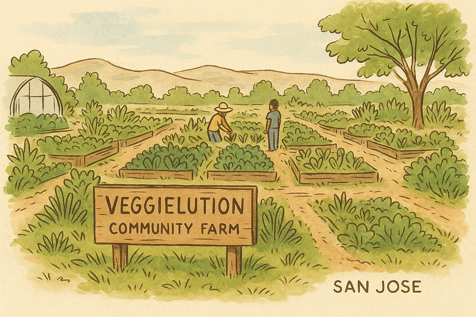 Hand-drawn illustration of Veggielution in San Jose, showing volunteers harvesting vegetables in a vibrant, urban farm setting.