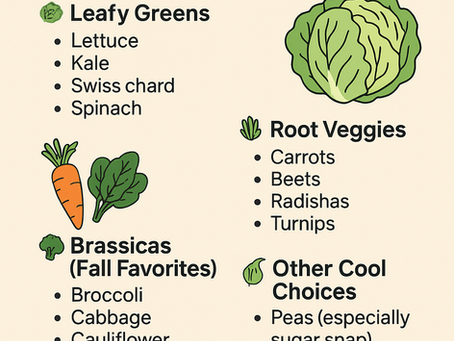 🌱 What to Plant in August (Bay Area Edition) Beginner-Friendly Garden Guide