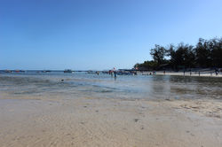 IMG_3299.jpg