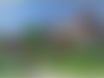 12,000 Sq Foot Fletcher Mansion With Ornate Paneled Rooms & Grand Ballroom Lists for $1,949,000!