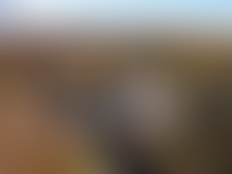 Woodstock, CT, "Castle" Built With Historic Features And Moat Lists For $35,000,0000! Look Inside!