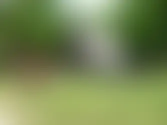 One Of A Kind Michigan Fairy Tale Cottage Can Be Yours For Just $85,000!