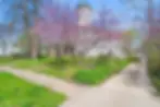 ree