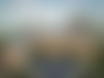 Striking Michigan Mansion with Renaissance Style Ceilings And Two Story Library Lists for $4,750,000