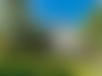 1888 NE Chauncey House With Beautiful Original Features Lists at $180,000! See Inside!