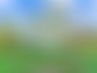 Step back in Time and Embrace the Charm of the A. C. Martin Home Listed At $150,000!