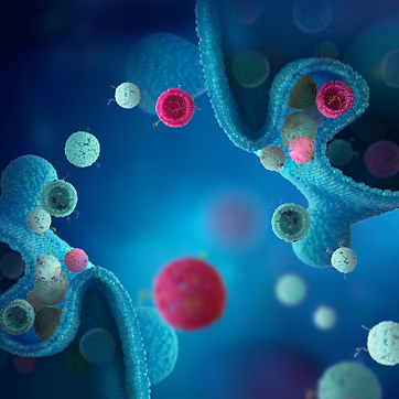 MSC Biology - MSC-derived exosomes_edited.png