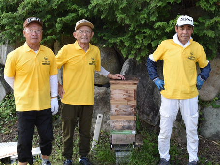 日本ミツバチについて