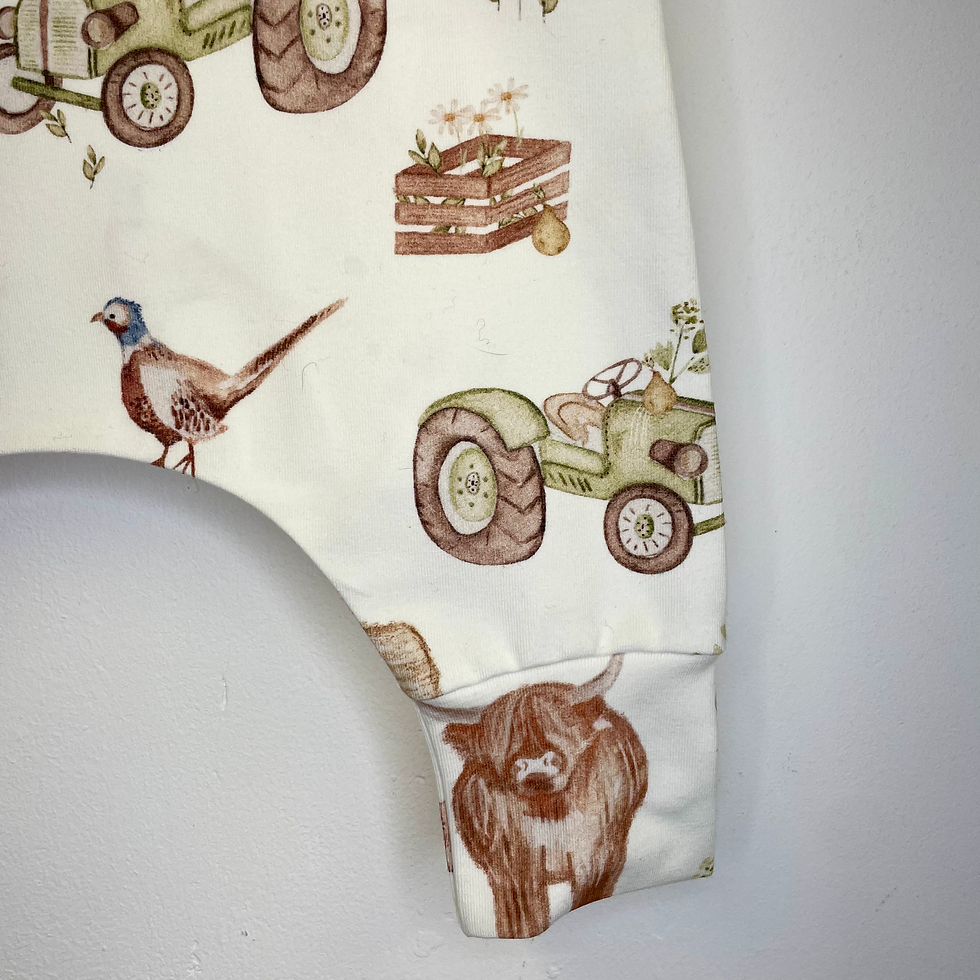 Thumbnail: Pheasant tales organic romper 