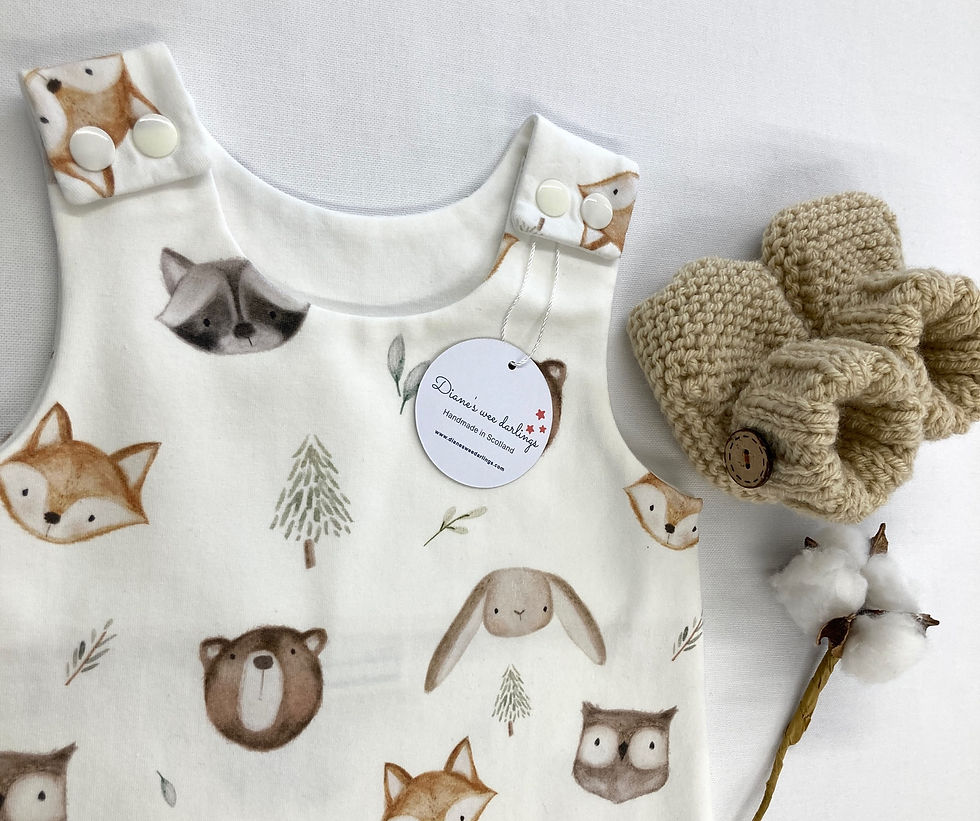 Thumbnail: Raccoon and friends romper 