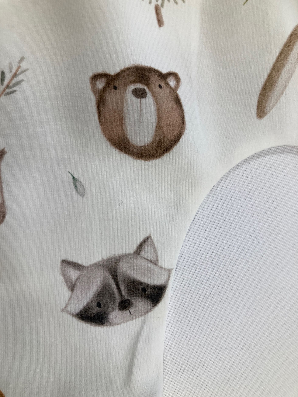 Thumbnail: Raccoon and friends romper 