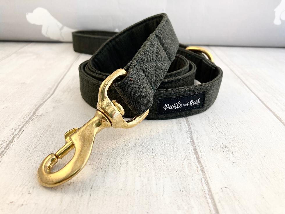 Thumbnail: Forest Green Martingale Collar and optional Lead | Sighthound Dog Collar