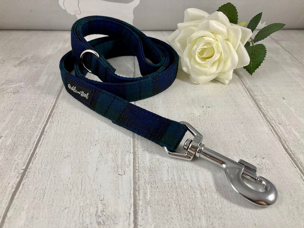 Thumbnail: Blue and Green Tartan Dog Harness | Dog Harness and Lead Set