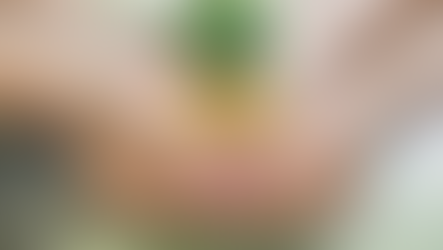 Compliance and Beyond: Navigating Nonprofit Regulations with Confidence