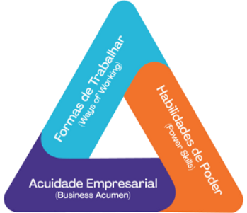 triangulo de talentos PMI