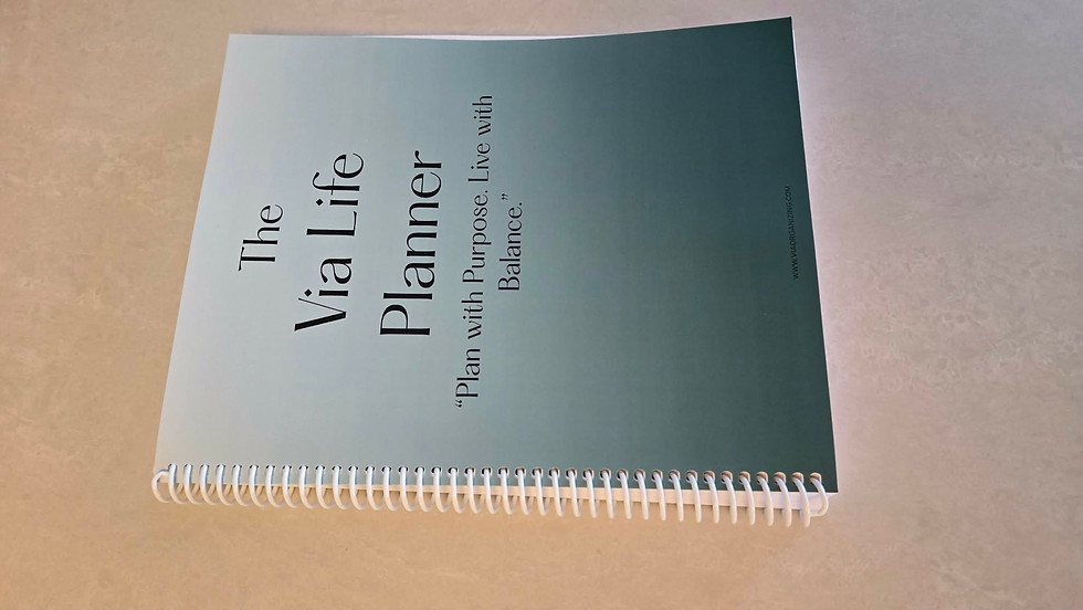 Thumbnail: The Via Life PHYSICAL Planner