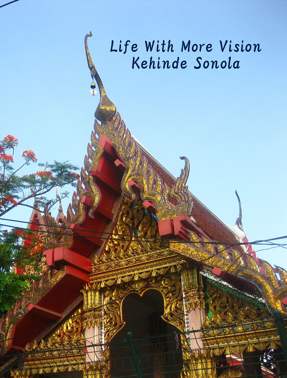 Life With More Vision poetry book