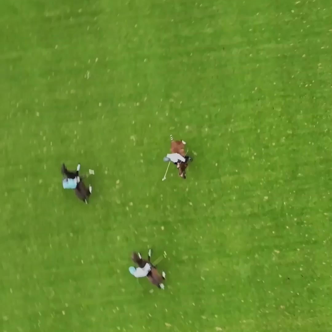 Hurlingham Polo Equestrian