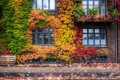 Ultimate Fall Cleaning Checklist