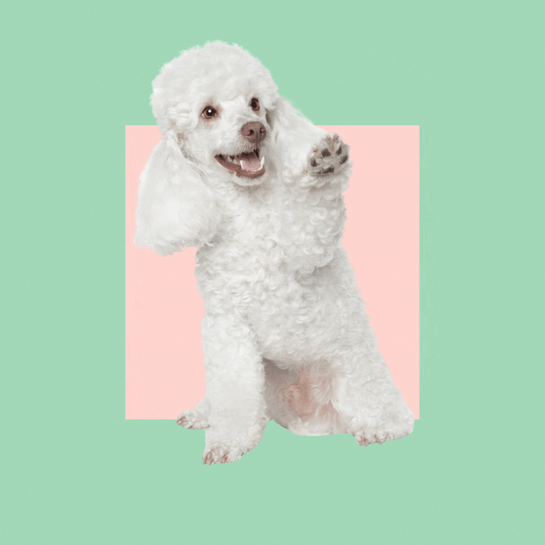 LƯU Ý.gif