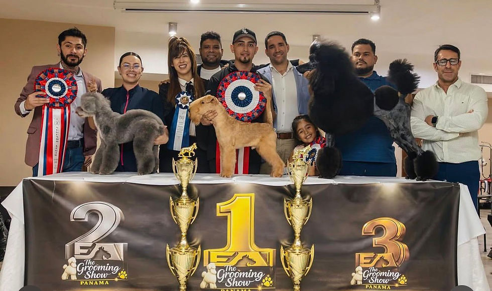 Competencia de Grooming