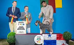 Imagen de WhatsApp 2024-10-25 a las 17.12_edited.jpg