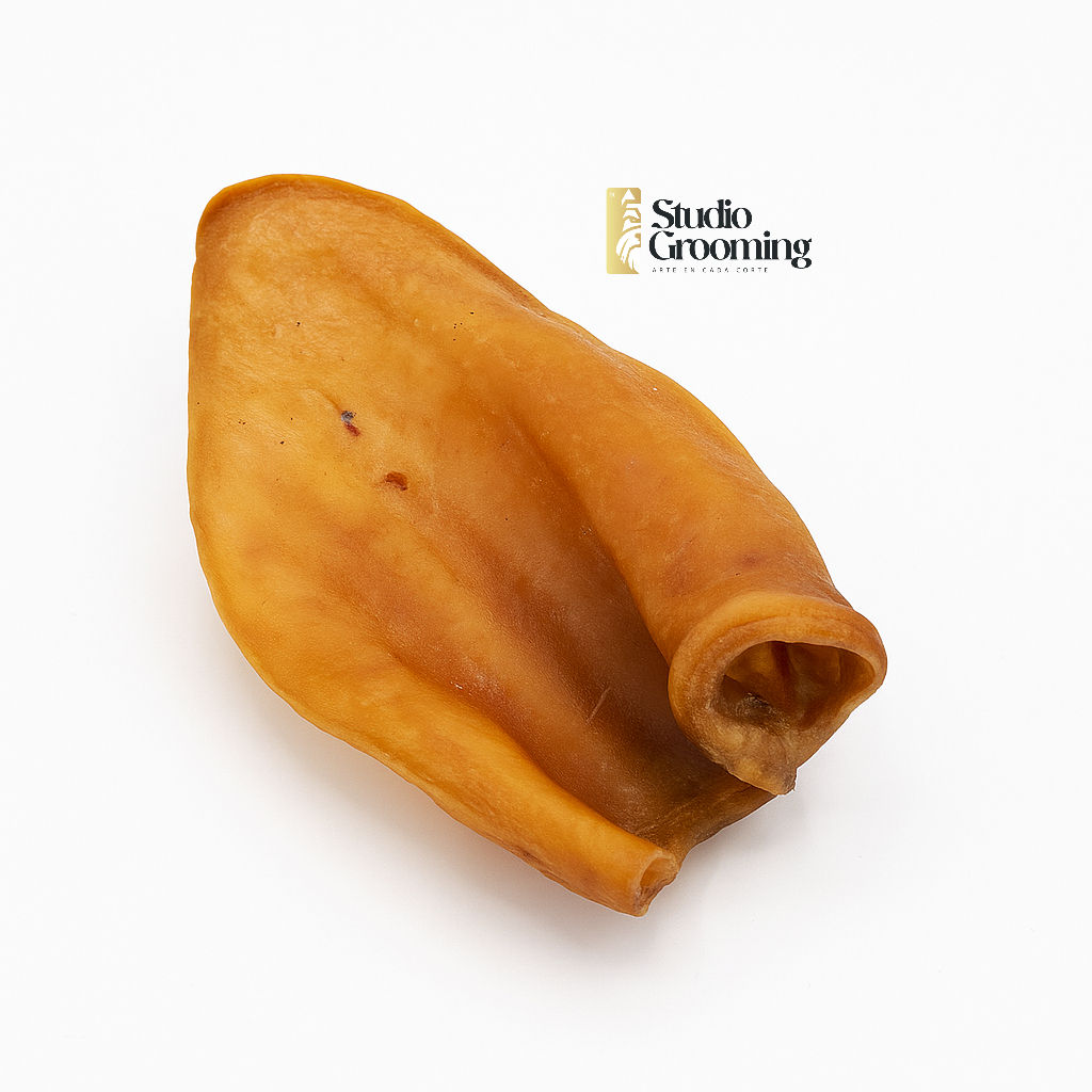 Oreja de Cerdo Natural