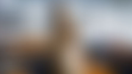 Unveiling – Bruce McLaren