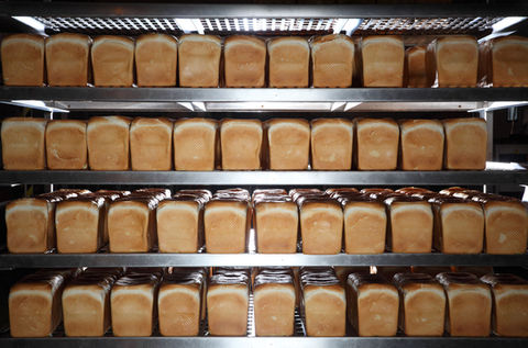 a row of loafs of bread are lined up on a shelf