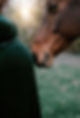 photographe-grossesse-provins-emilie-bussat.jpg
