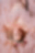 photographe-grossesse-emilie-bussat-77.jpg