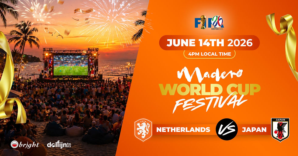 World Cup Festival Netherlands - Japan