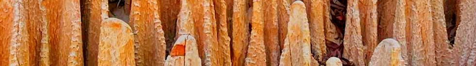 20240925_154732_edited.jpg