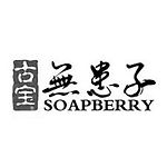古寶無患子 SOAPBERRY - NxSEA 合作實績品牌:傳統產業轉型跨境電商