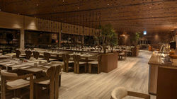 isrotel daroma hotel mitzpe ramon