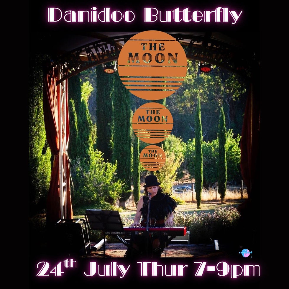 Danidoo Butterfly