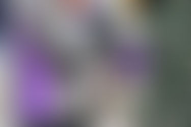 LWV US Monthly Update