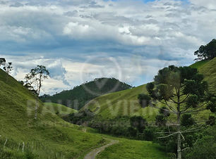  Sítio à Venda - Próximo a Correia de Almeida, Distrito de Barbacena